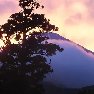 하나노야도 후쿠 4* 하코네